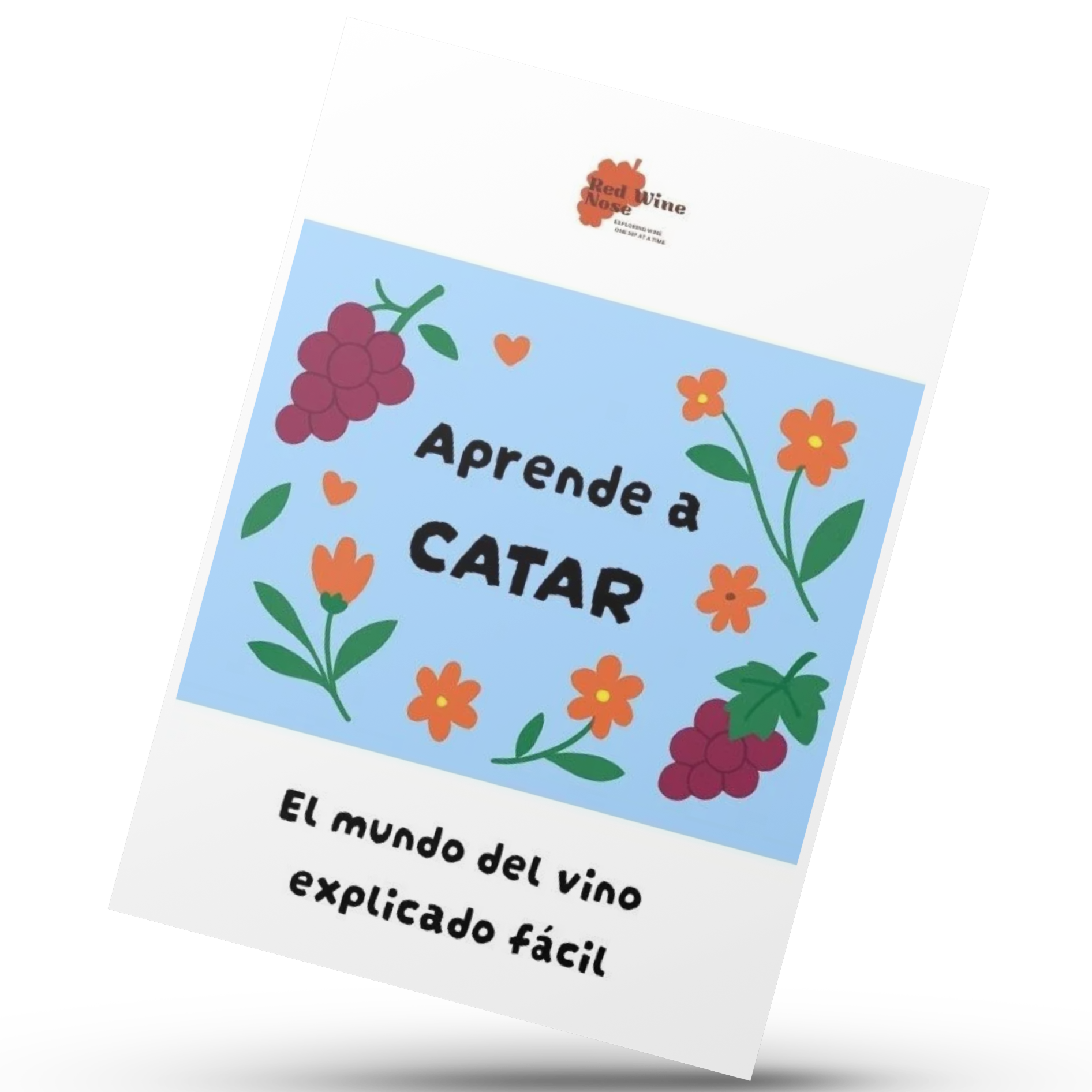 Aprende a catar: el mundo del vino explicado fácil